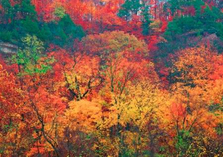 Autumn Hues Along the Katy Trail by Steven Lee Wright