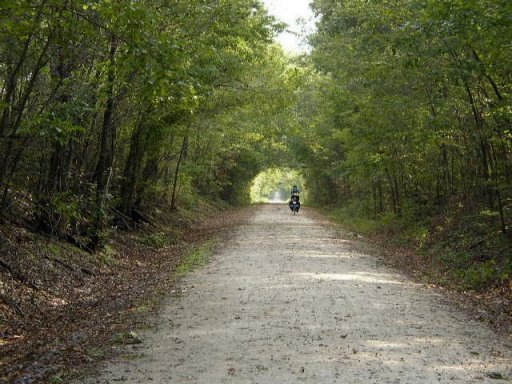 Tree tunnel near Green Ridge